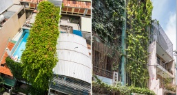 Ngôi nhà Sài Gòn phủ đầy cây xanh nhờ "tấm màn che xanh"